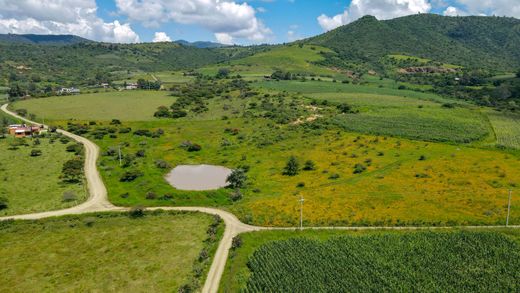 Land in Tapalpa, Jalisco