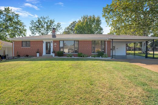 Detached House in St. Louis, Missouri