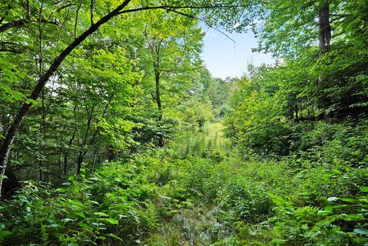 Land in Banner Elk, Avery County