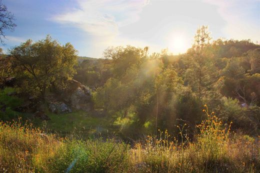 Terrain à Coarsegold, Comté de Madera