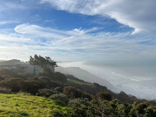 Arsa Manchester, Mendocino County