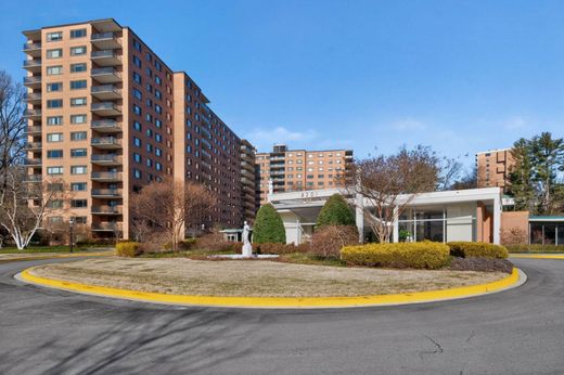 Daire Washington, Washington County