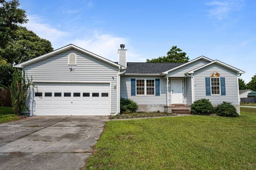 独立式房屋  Richlands, Onslow County