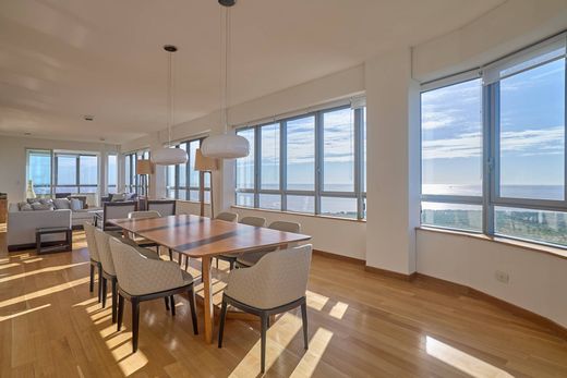 Detached House in Buenos Aires, Buenos Aires F.D.