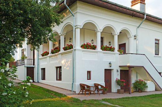 Villa en Bucşani, Comuna Bucşani