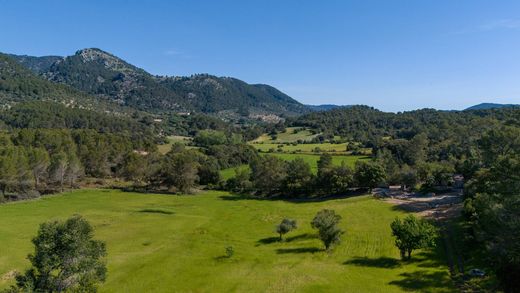 Land in Selva, Province of Balearic Islands