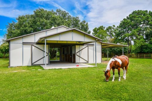 Detached House in Cypress, Harris County