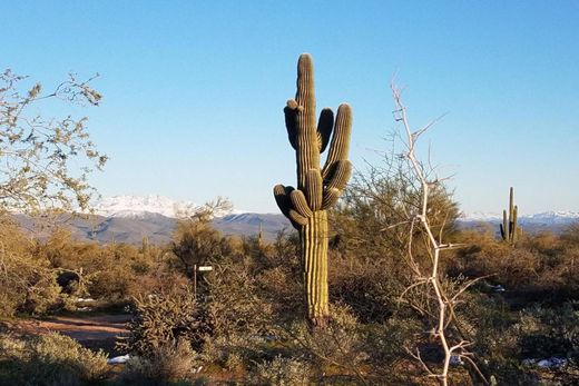 Grundstück in Scottsdale, Maricopa County