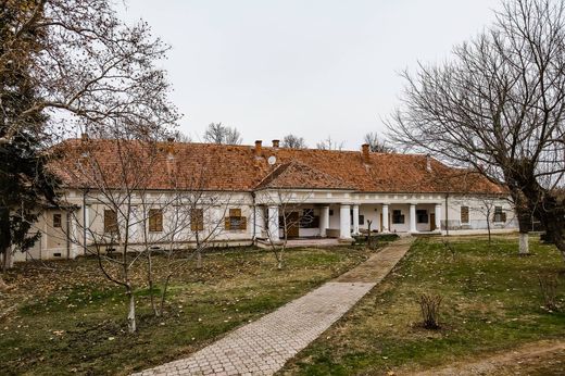 Einfamilienhaus in Drauț, Comuna Târnova