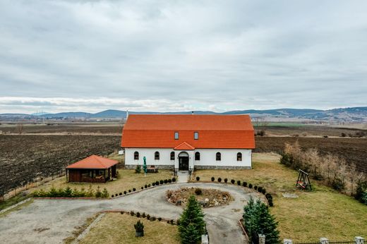 Coșeni, Municipiul Sfântu Gheorgheの高級住宅