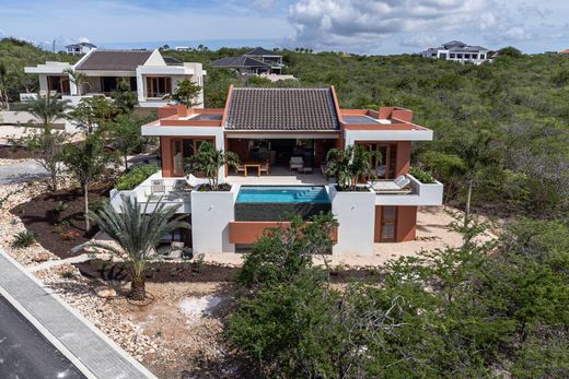 Vrijstaand huis in Dorp Sint Willebrordus