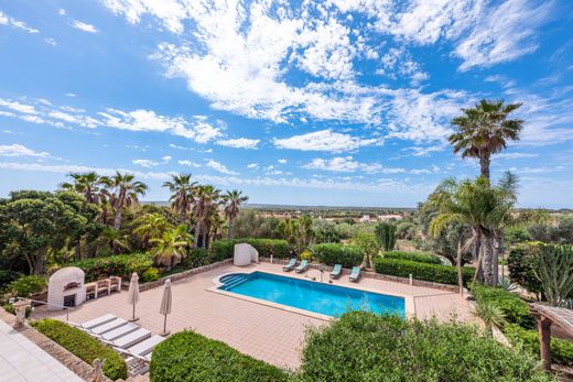 Πολυτελή κατοικία σε Ses Salines, Illes Balears