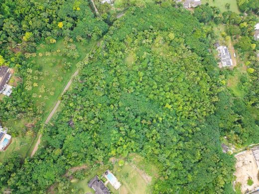 Terreno - Unity Hall, Saint James Parish