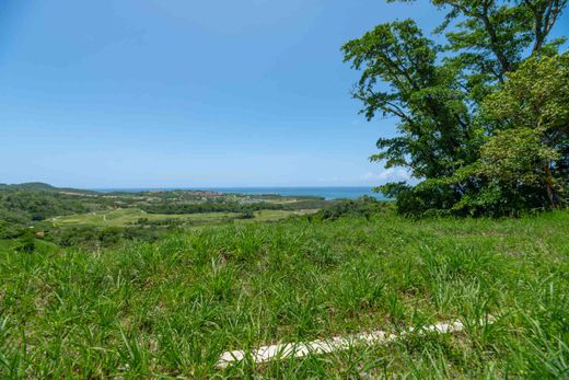 Terrain à Roatán