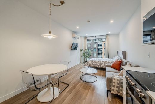 Apartment / Etagenwohnung in Montreal, City of Montréal