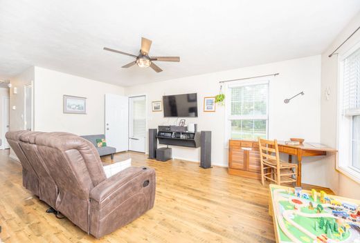 호화 저택 / Suffolk, City of Suffolk