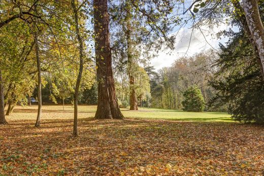Detached House in Puylaurens, Tarn