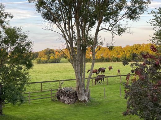 Detached House in Pont-l'Évêque, Calvados