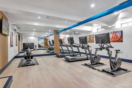 Luxury home in Great Neck, Nassau County