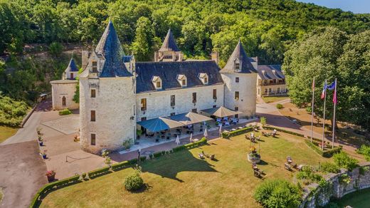 Müstakil ev Montignac, Dordogne