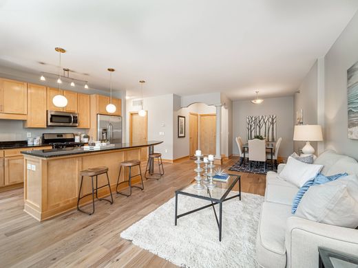 Appartement in Minneapolis, Hennepin County