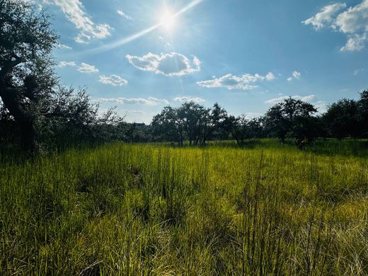 Terreno - Austin, Travis County