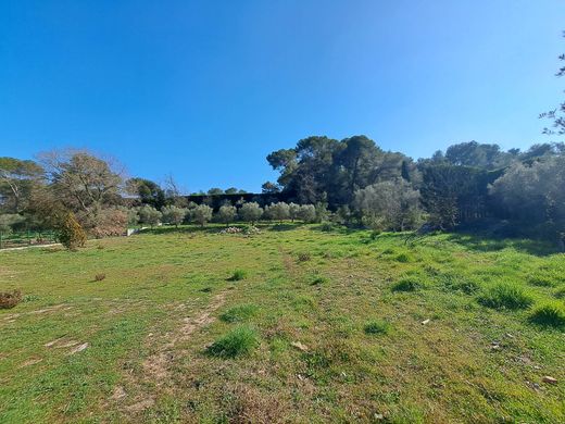 Land in Mougins, Alpes-Maritimes