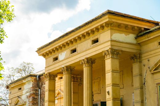 Château · Castle in Odvoș