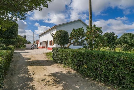 Country House in Palmela, Distrito de Setúbal