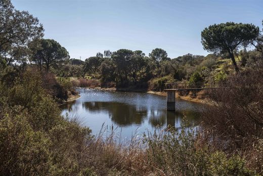 Country House in Alcácer do Sal, Distrito de Setúbal