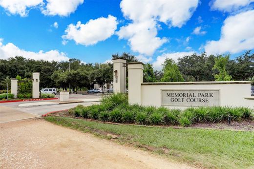 호화 저택 / Houston, Harris County