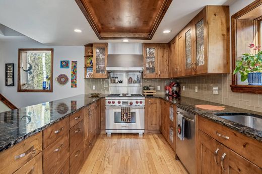 Πολυτελή κατοικία σε Alma, Park County