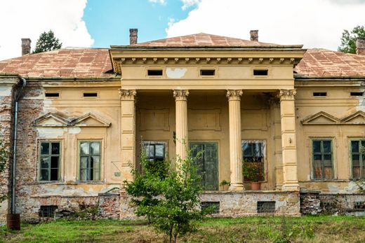 Château · Castle in Odvoș