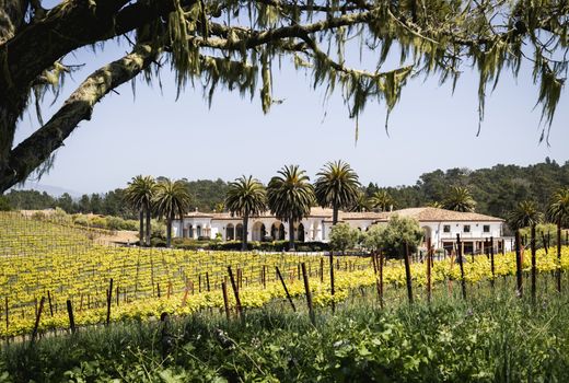 Maison individuelle à Cambria, Comté de San Luis Obispo