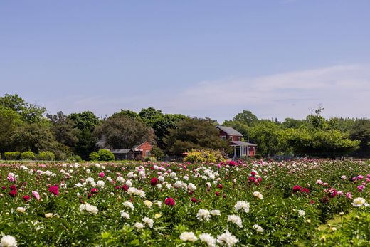Landhuis in Woodbine, Cape May County