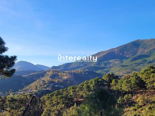 地皮  贝纳阿维斯, Provincia de Málaga