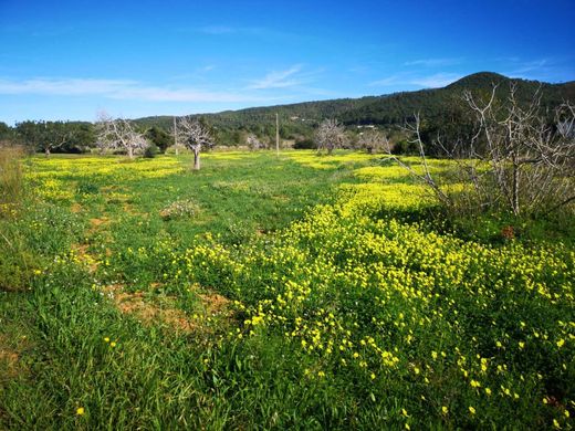 Land in Sant Joan de Labritja, Province of Balearic Islands