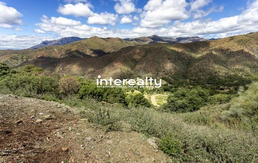 地皮  贝纳阿维斯, Provincia de Málaga