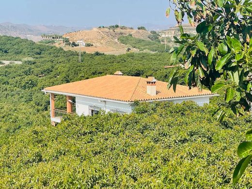 Maison de luxe à Almayate Alto, Malaga