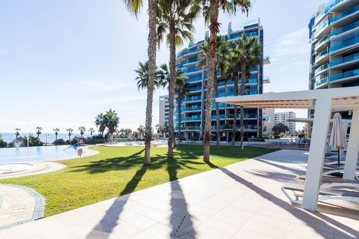 Apartment / Etagenwohnung in Torrevieja, Alicante