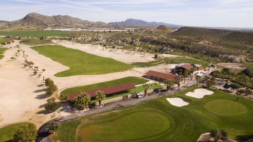 Luxury home in Murcia