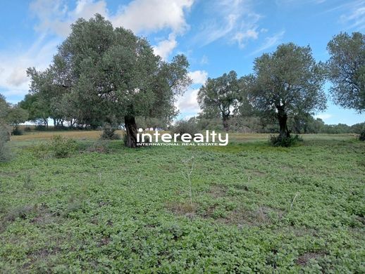 Terreno en Barbate, Cádiz