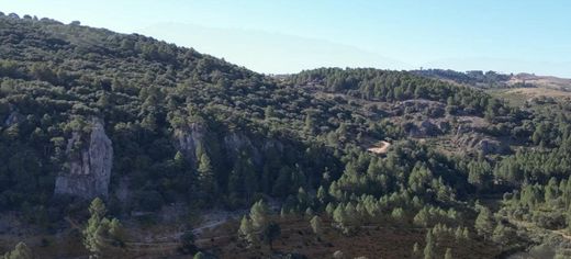 豪宅  Pontones, Provincia de Jaén