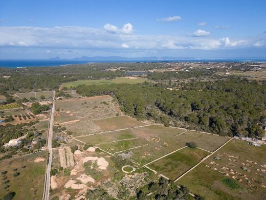 Land in Formentera, Province of Balearic Islands