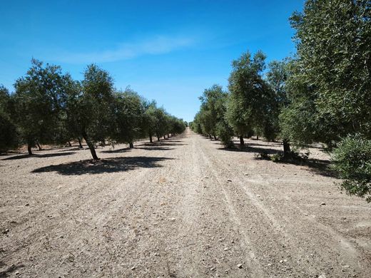 Luxe woning in Ronda, Provincia de Málaga