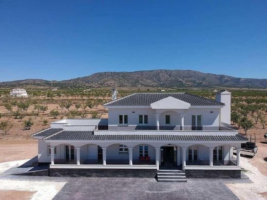 Villa in Pinoso, Alicante