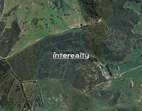 Grond in Jimena de la Frontera, Provincia de Cádiz