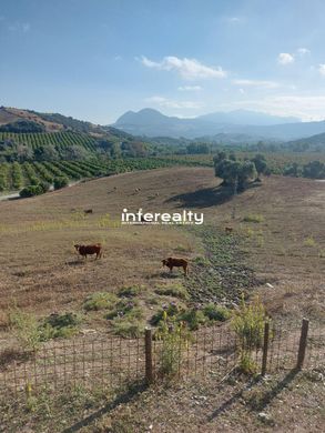 Grond in Jimena de la Frontera, Provincia de Cádiz