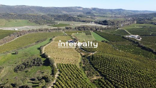 Terreno en Casares, Málaga
