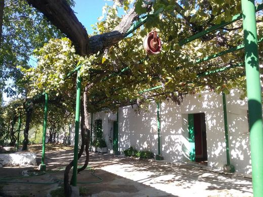Maison de luxe à Siles, Jaen
